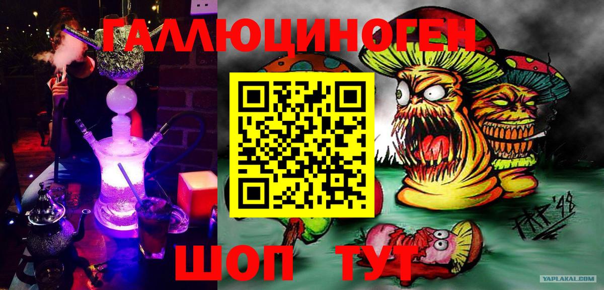Галлюциногенные грибы Psilocybe  Вход с VPN  Нижнеудинск 